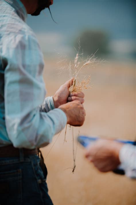 Regenerative Ranching — Sustainable Northwest