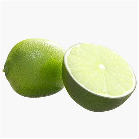 Lime Free 3D Model - .obj .stl - Free3D