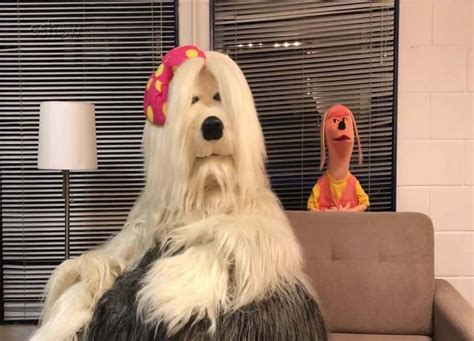 Priscila Tv Colosso Raça - Old English Sheepdog: conheça a raça da Priscila da TV Colosso