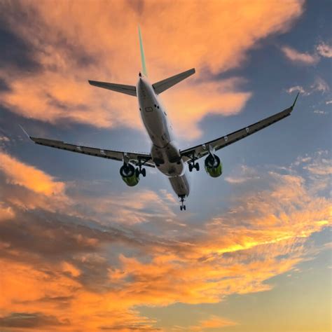 Bali Tourists Could Be Directed To East Java Airport To Discover West ...