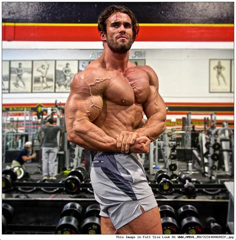 Калум фон Могер (Calum von Moger), фотографии, биография, соревнования ...