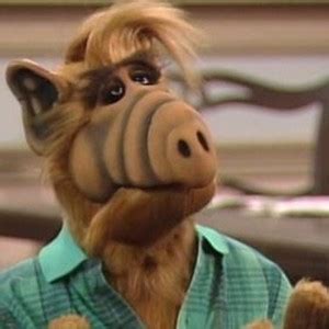 ALF: Season 3, Episode 6 - Rotten Tomatoes