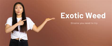 What Is Exotic Weed? Strains to Try