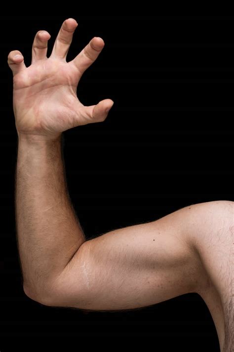 simbolismo de el brazo biblioteca de nueva acropolis