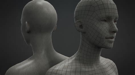 ZBrush | Mesh Base – Mujer + Hombre | Ejezeta