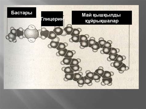 Жасуша мембранасының компоненттері - презентация онлайн