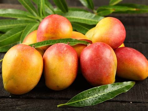 How to Shop, Pick and Store Mangoes: Ultimate Guide – Food & Wine
