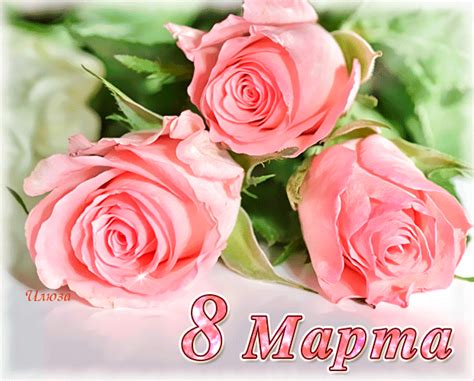 Розы в подарок к 8 марта - с 8 марта открытка для Ватсап (WhatsApp)