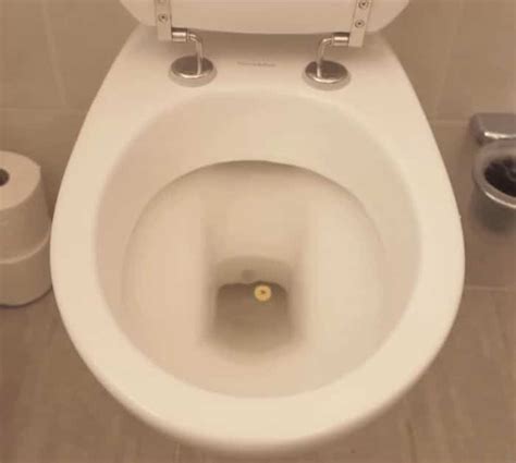 How to Flush the Toilet When the Water Tank is Broken | Best Craft Hacks