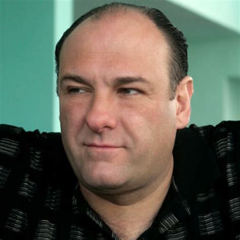 Happy Birthday, Tony Soprano!