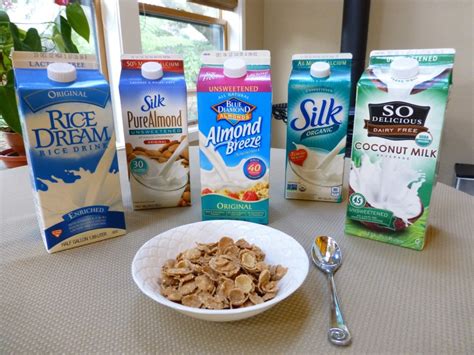 Dairy-free 101: Pros and Cons of Common Milk Alternatives | Living to Smile