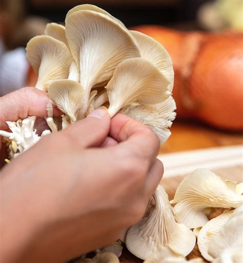 how to clean sliced mushrooms