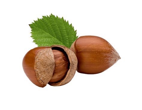 Que Son Tree Nuts at Anthony Cline blog