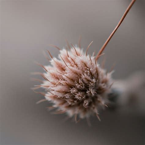 How Does 'Bio-Polishing,' a Chemical Finish, Improve the Feel of