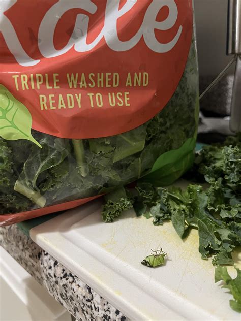 Thanks I hate triple washed and ready to use kale with bug : r/TIHI