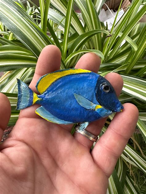Freeze Dried Blue Hippo Tang Fish Taxidermy Sea Decor Dory - Etsy