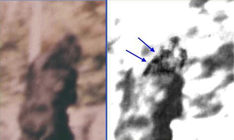 Bigfoot: Patty's hair, hair arrangement and motion work by M.K. Davis