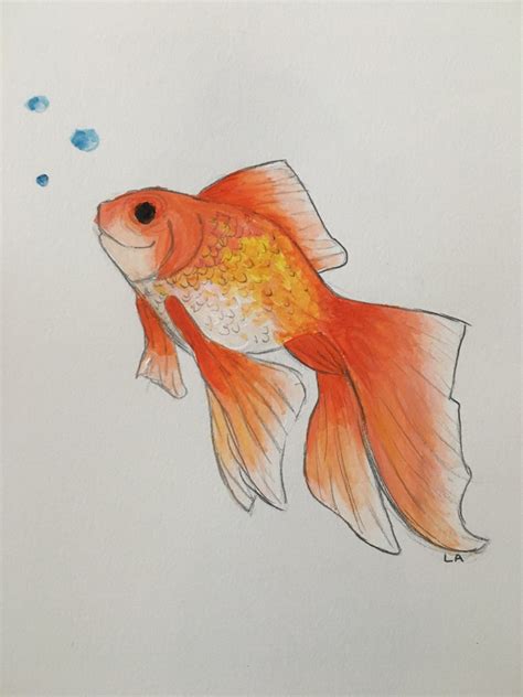 gold fish drawing 5