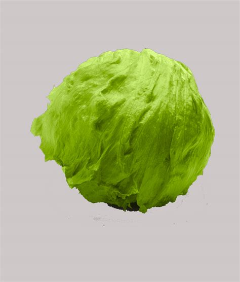 iceberg lettuce hydroponics nepal shop