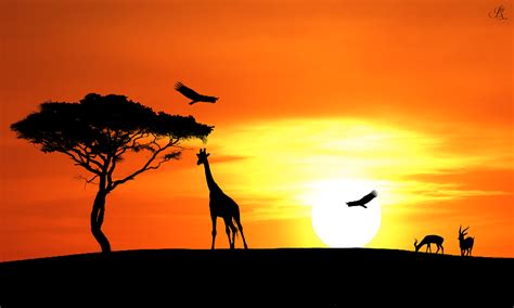 Sunset Savannah by EddyRichie on DeviantArt