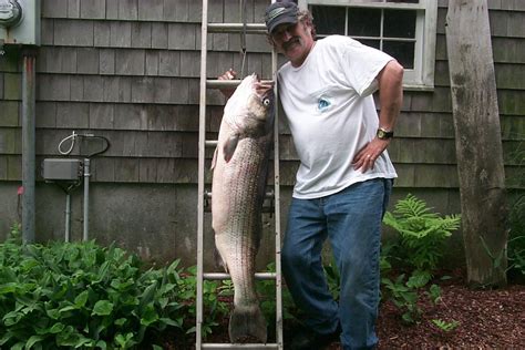 Yo-Zuri Mag Darters - The Saltwater Edge