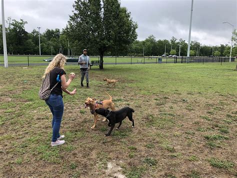 Byerly Bark Dog ParkVisit Hartsville, SC