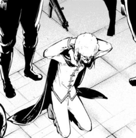 Pin by stelle :3 on bds | Bungou stray dogs, Bungo stray dogs, Stray dog