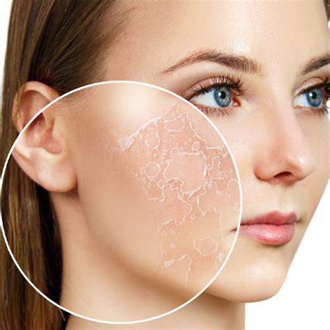 Did You Know Facts About Skin | Skin Facts | Skincare blog