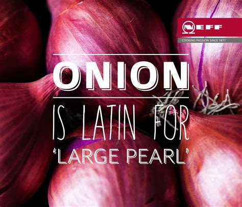 The Fascinating History Behind the Word 'Onion'