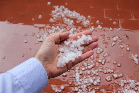 Hailstones In Hand. Holding A Handful Of Hail On The Grass Background ...