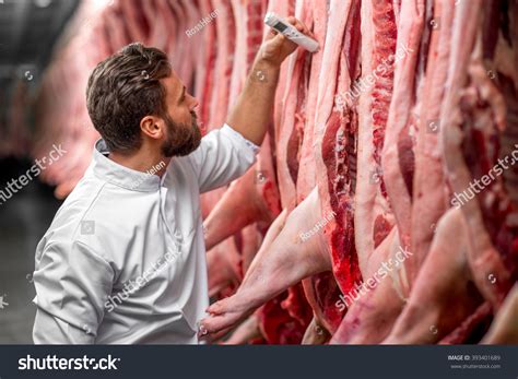 Butcher Measuring Pork Temperature Refrigerator Meat Stock Photo ...