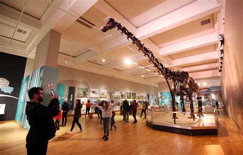 Dippy creates an enormous footfall in Belfast - LoveBelfast