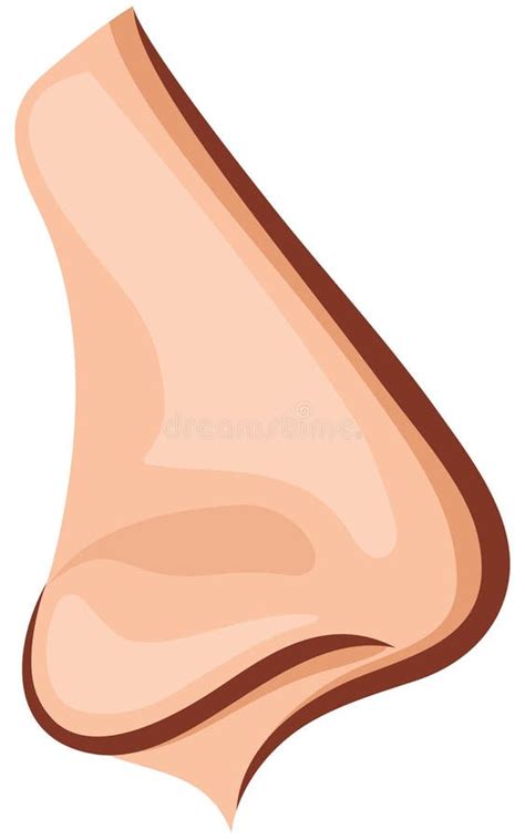 Nose Stock Illustrations – 425,051 Nose Stock Illustrations, Vectors ...