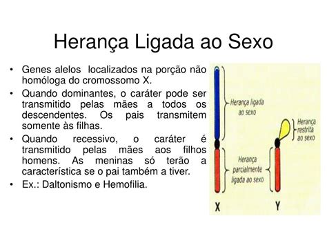 Herança Ligada Ao Sexo - PPT - Genética Relacionada ao Sexo PowerPoint Presentation, free ...