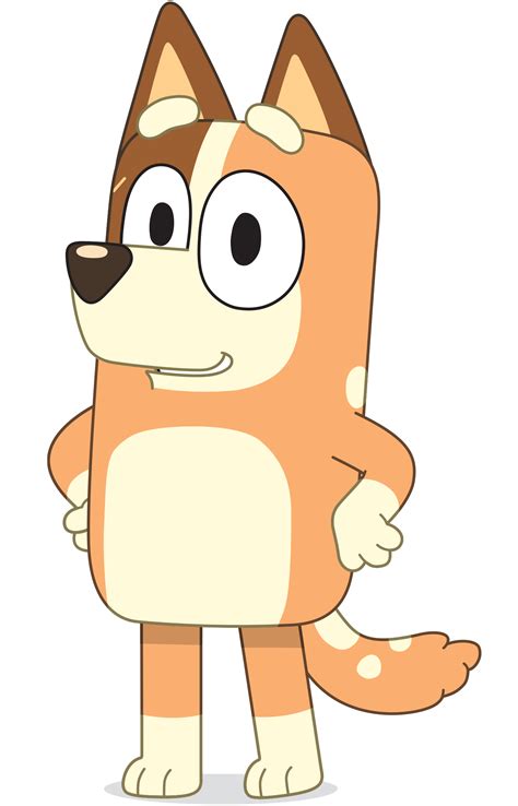 bluey bluey character names