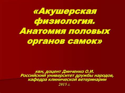 Акушерская физиология. Анатомия половых органов самок - презентация онлайн