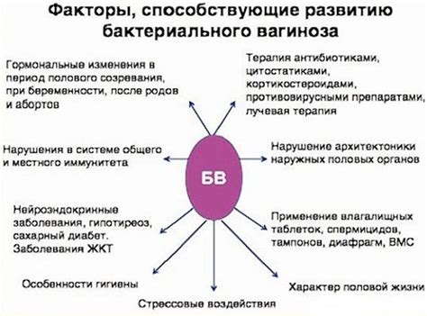 Вагинит (кольпит): бактериальный, атрофический, острый, трихомонадный ...