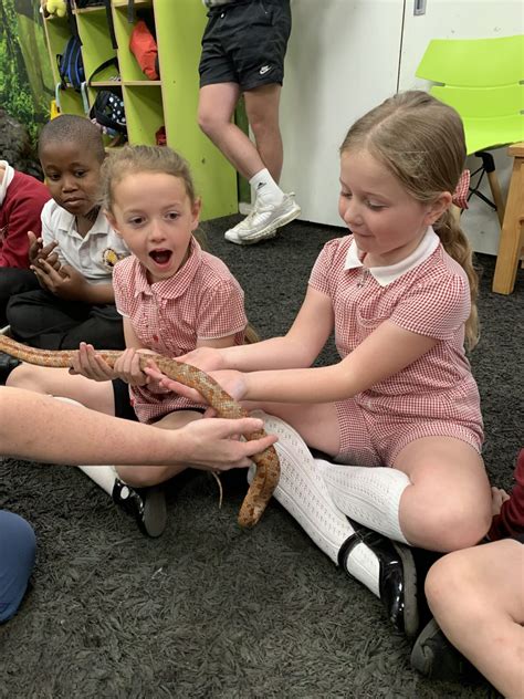 Year 3 Summer B Update – St Julians Primary School