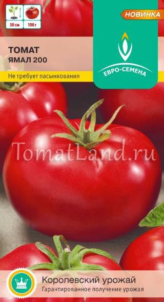 Томат Ямал: описание сорта, ОТЗЫВЫ (29), фото, урожайность | tomatland.ru