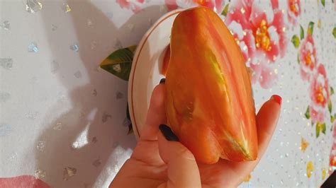 Томат Рабочий выпуск пасты: описание сорта, ОТЗЫВЫ (26), фото