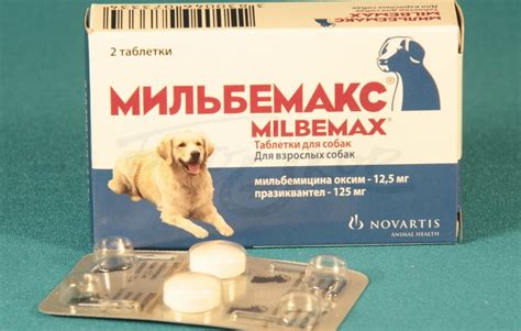 Мильбемакс для собак: инструкция по применению для крупных, мелких ...