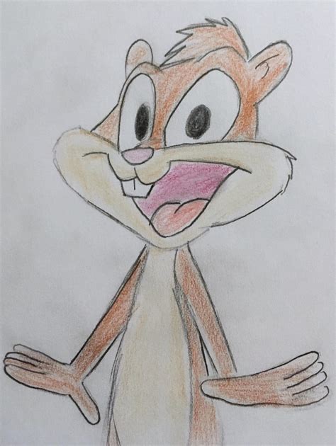 skippy squirrel  captainedwardteague  deviantart