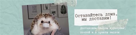 Семена цветов. Магазин семян цветов. Семена комнатных цветов в Санкт ...