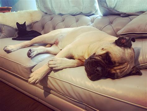Sleeping Beauty | Scrolller