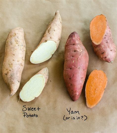 Is Sweet Potato a Fruit or Vegetable? - PostureInfoHub