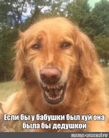 Meme: "Если бы у бабушки был хуй она была бы дедушкой" - All Templates ...