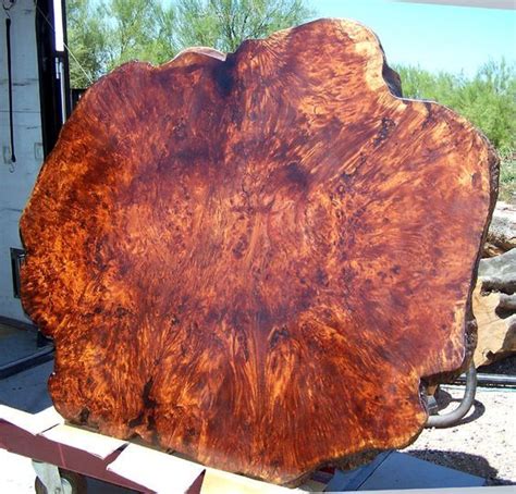 burl  drool  burled wood wood slab table burled wood table