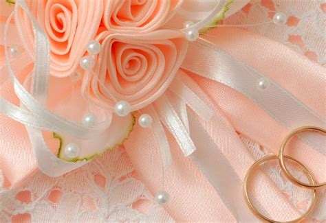 warna orange tua cocok  warna  ide perpaduan warna