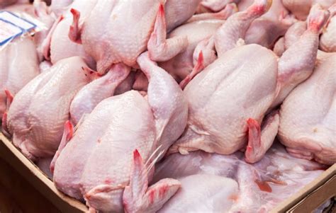 Накачанных антибиотиками кур нашли на прилавках магазинов в Челябинской ...