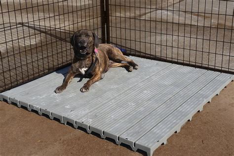 Dog Kennel Flooring 2020 - Your Dog Will LOVE These 6 Kennel Flooring ...